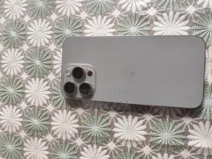 Apple iPhone 15 Pro Max 256 GB Silver