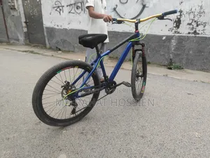 Phoenix Bicycle