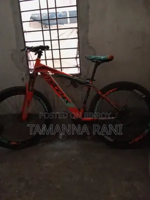 Phoenix Cycle Full Fresh Condition All Original