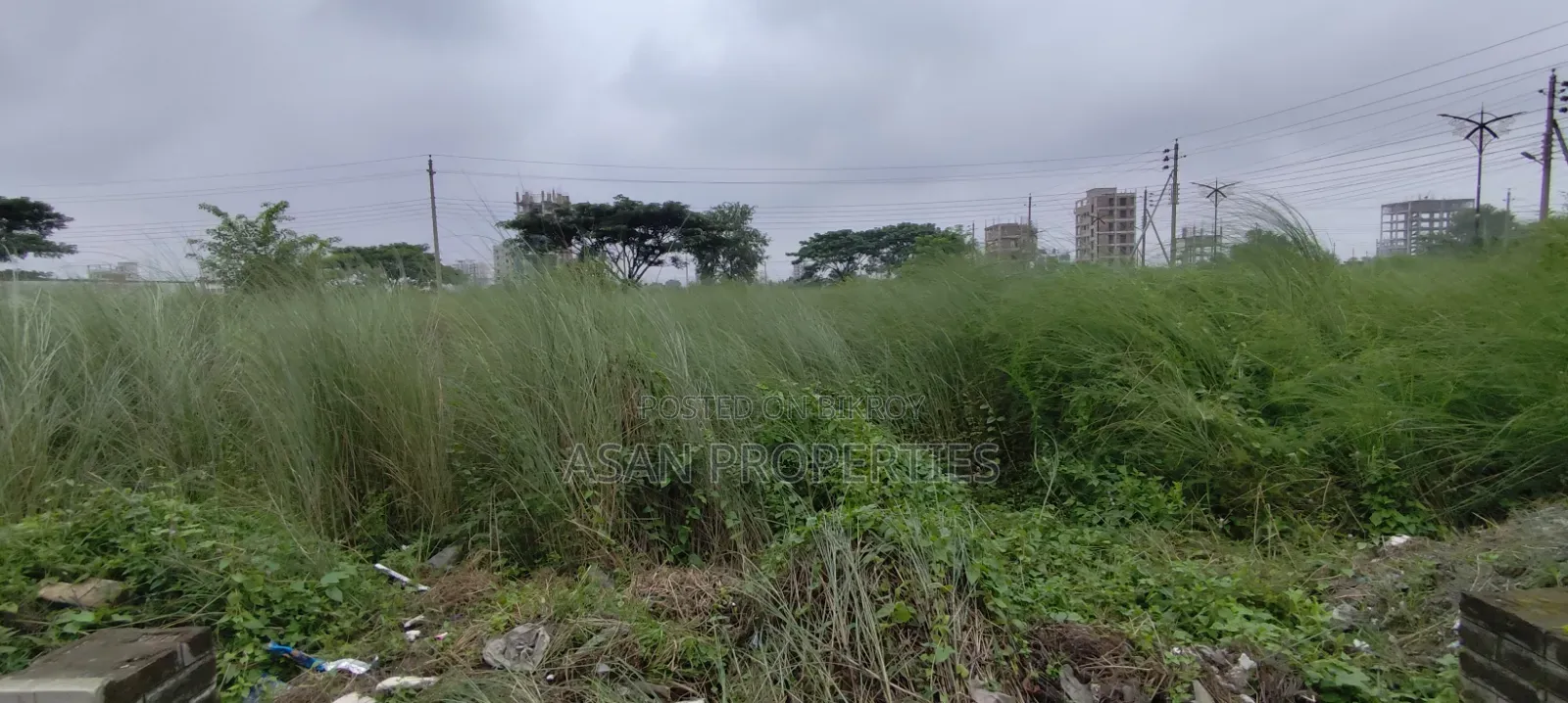 Basundhara 3 Katha P Block South Facing Plot for Sale