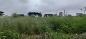 Basundhara 3 Katha P Block South Facing Plot for Sale