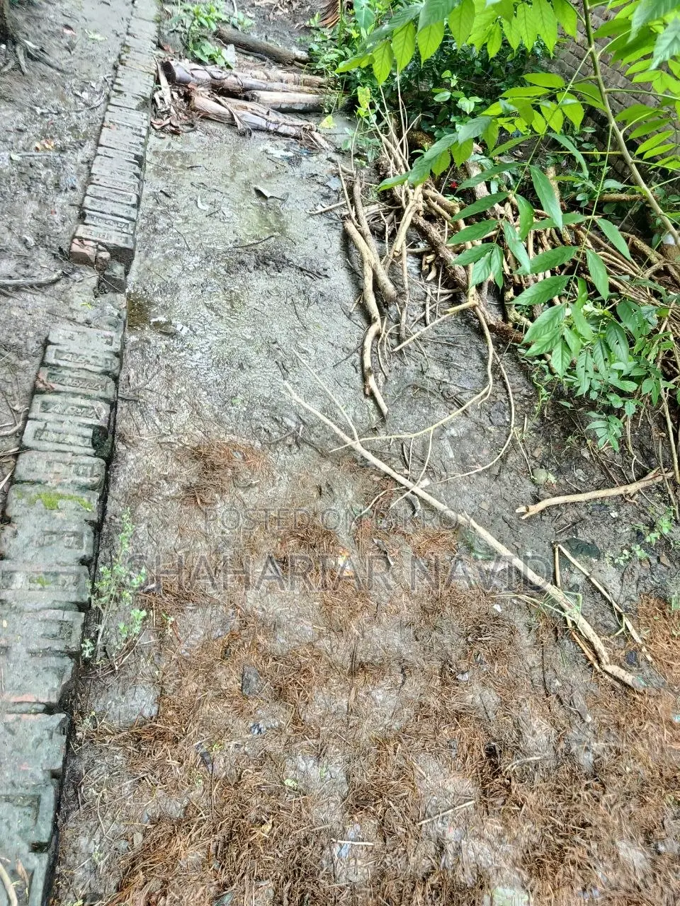 This land will be sold