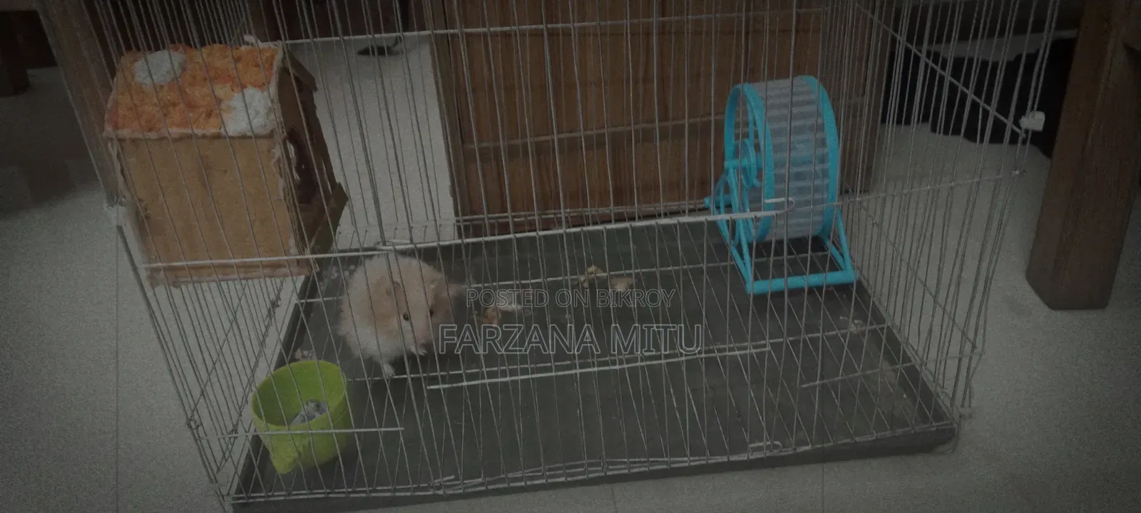 Hamster for Sale With Cage and Wheel