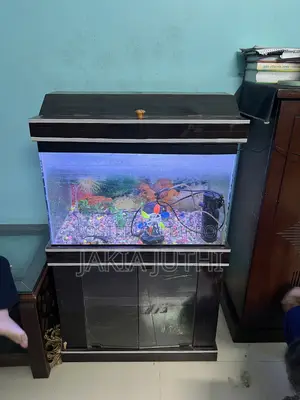 Aquarium Sell Hobe