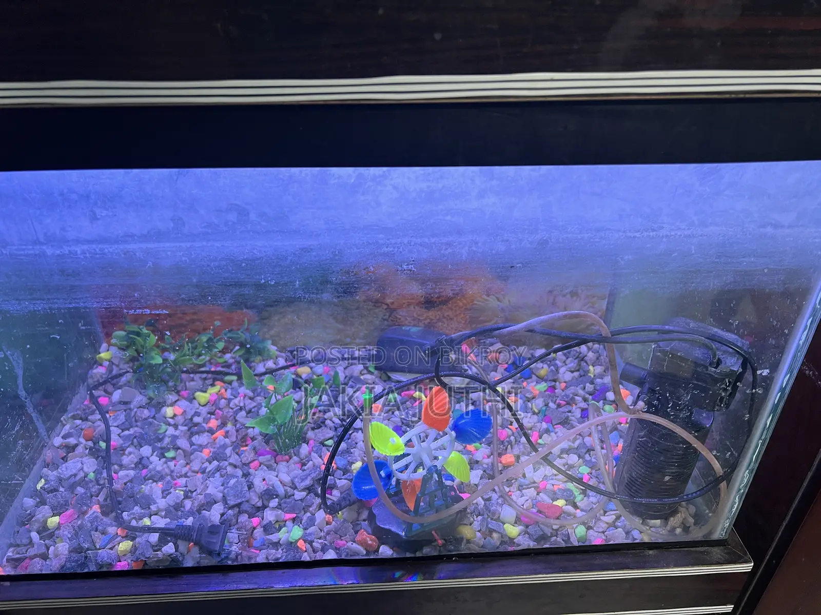 Aquarium Sell Hobe