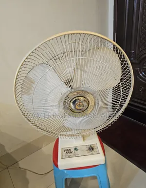 PAK Table Fan