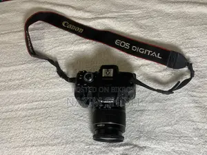 Canon 600D DSLR Complete Kit W/ BIG 55-250mm Telephoto Zoom + 4 Batts