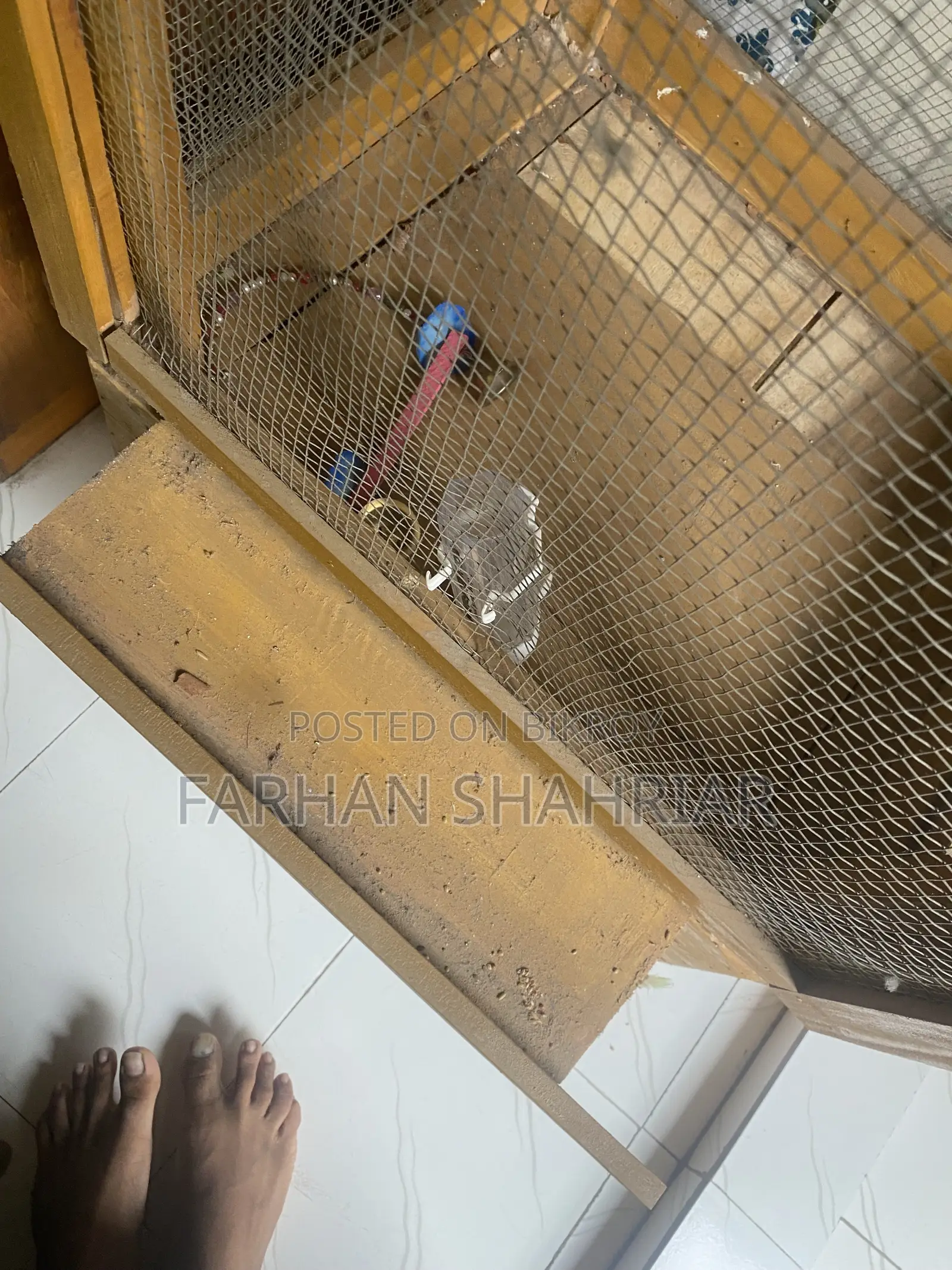 পাখির কাঠের খাঁচা