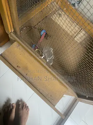 পাখির কাঠের খাঁচা