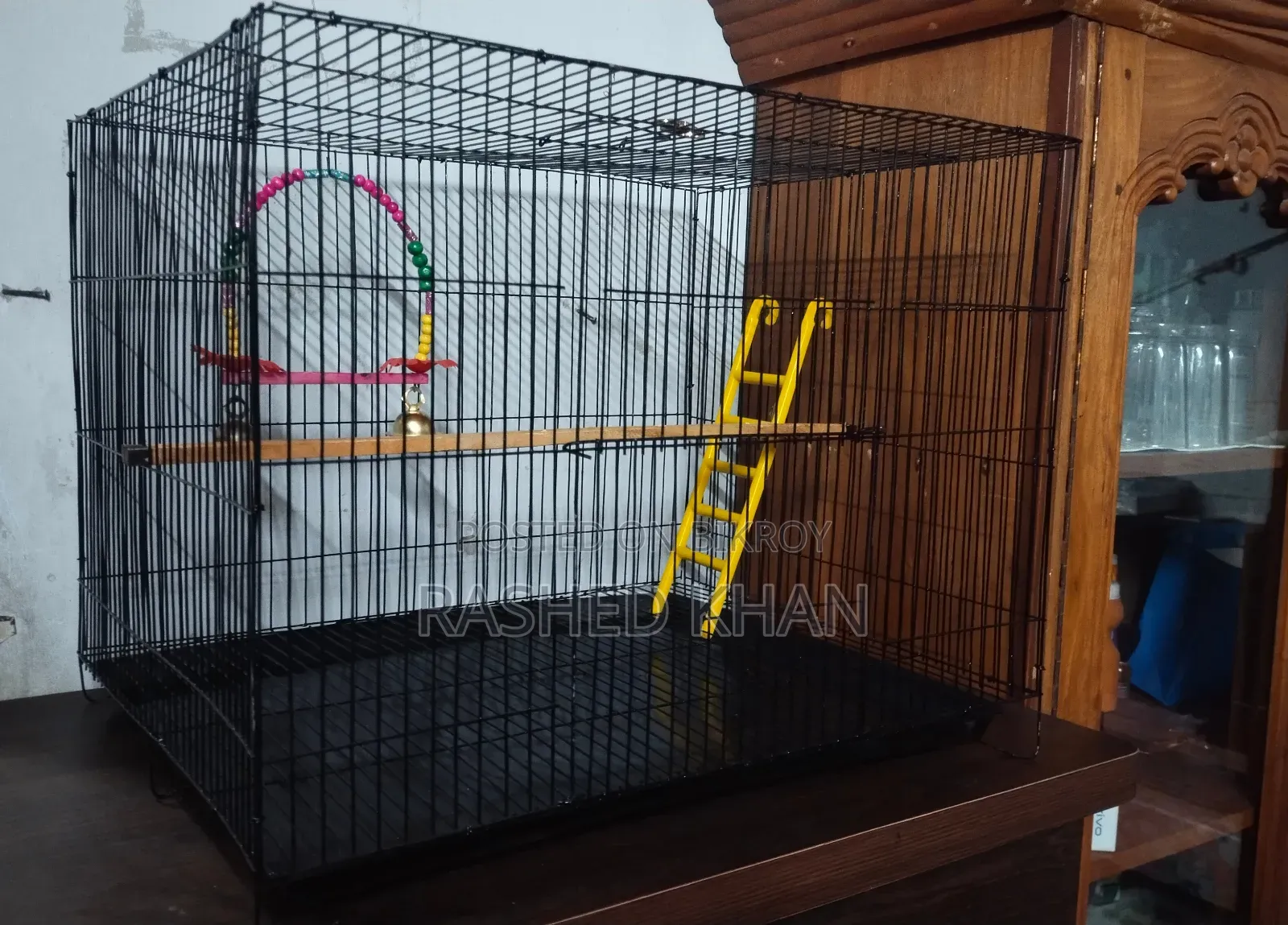 Bird Case, পাখির খাচা (New)