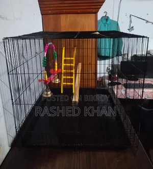Bird Case, পাখির খাচা (New)