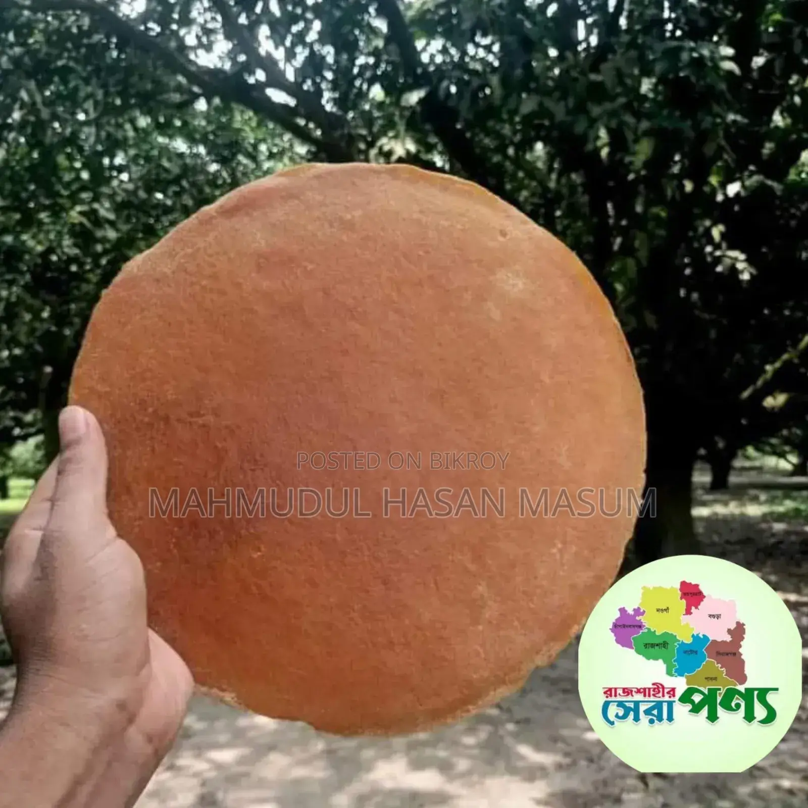 Rajshahi's Famous Ripe Mango Sweet Amsotto