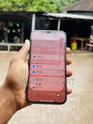 অ্যাপল আইফোন ১২ প্রো ম্যাক্স ১২৮ জিবি ব্লু