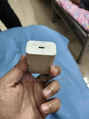 অরজিনাল পিক্সেল ৩০ডব্লিউ অ্যাডাপ্টার