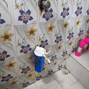 Iron Remover Filter