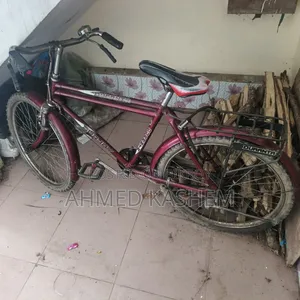 ২৪ ইঞ্চি দুরন্ত বাই সাইকেল