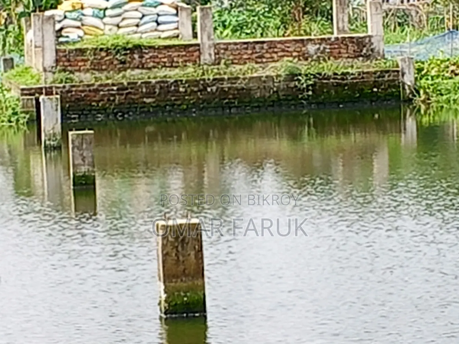 প্রতি শতক ৳। চম্পকনগর আল হাদিস মাদ্রাসা সংলগ্ন (কুমিল্লা)