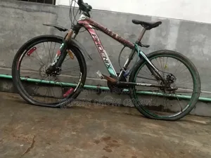 মোঃ সেলিম হোসেন