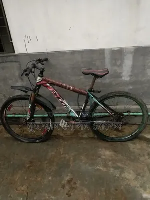 মোঃ সেলিম হোসেন