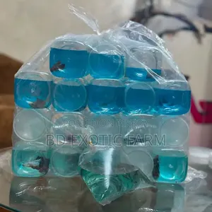 বেট্টা মাছ