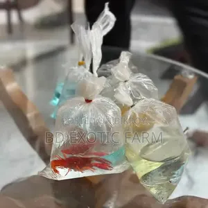 বেট্টা মাছ