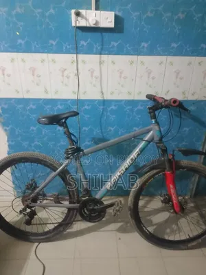 রানিং বাইসাইকেল