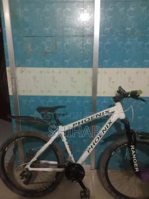 রানিং বাইসাইকেল