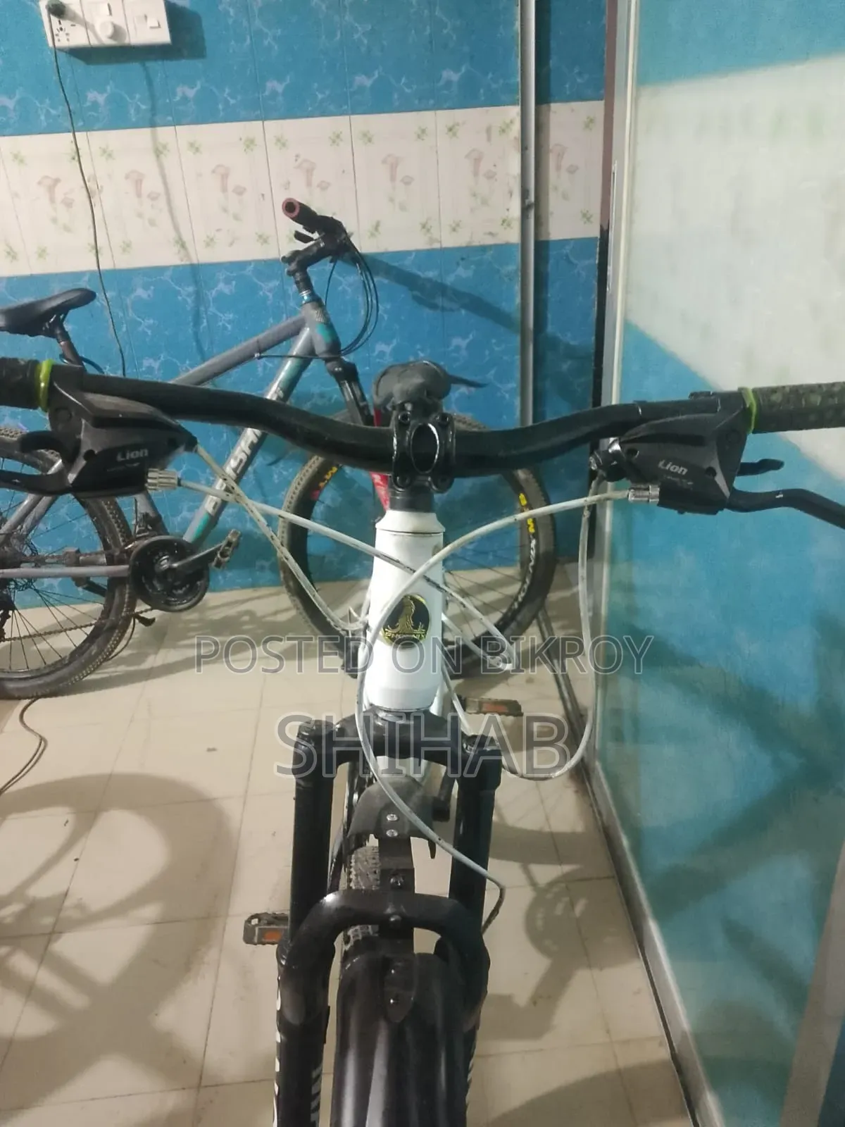 রানিং বাইসাইকেল
