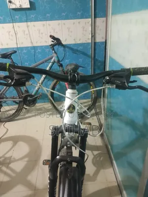 রানিং বাইসাইকেল