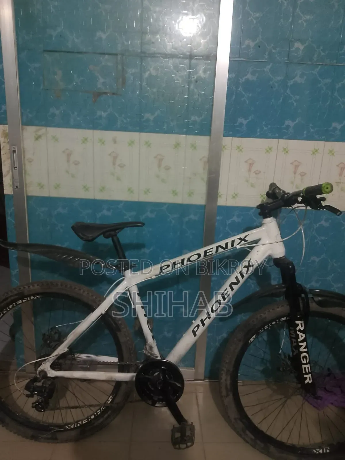 রানিং বাইসাইকেল