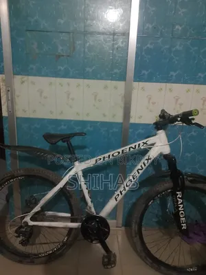 রানিং বাইসাইকেল