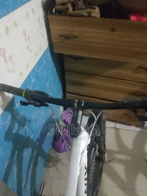 রানিং বাইসাইকেল