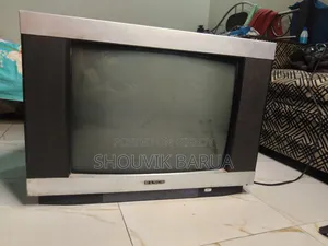 RANGS RC2114 24-Inch CRT (Tube) Color Television