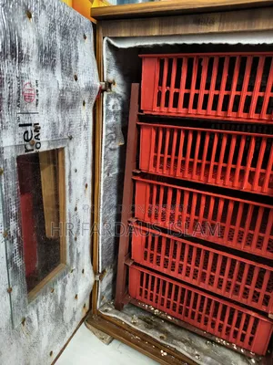 Incubator for raising 1400 chickens hatcher and setter will be sold