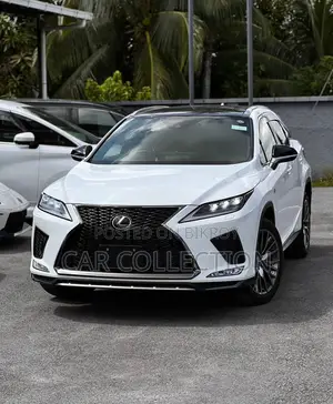 Lexus RX 300 2WD 2020 Pearl