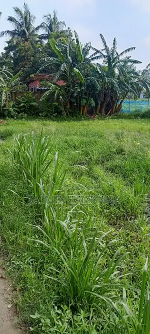 জমি বিক্রয়