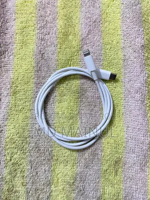 Apple Type C to Lightening Port Cable
