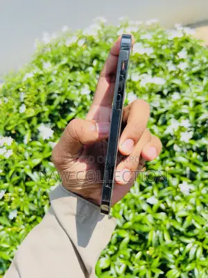অ্যাপল আইফোন ১২ প্রো ২৫৬ জিবি