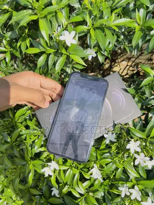 অ্যাপল আইফোন ১২ প্রো ২৫৬ জিবি
