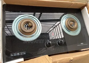 Gas Stove With 2 Burners