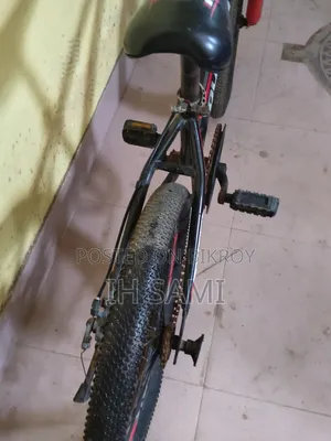 Duronto Cycle