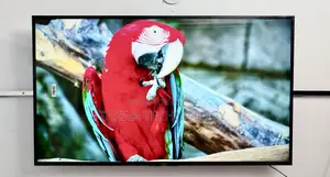 Sony Bravia 55 Inche Android Voice Control TV