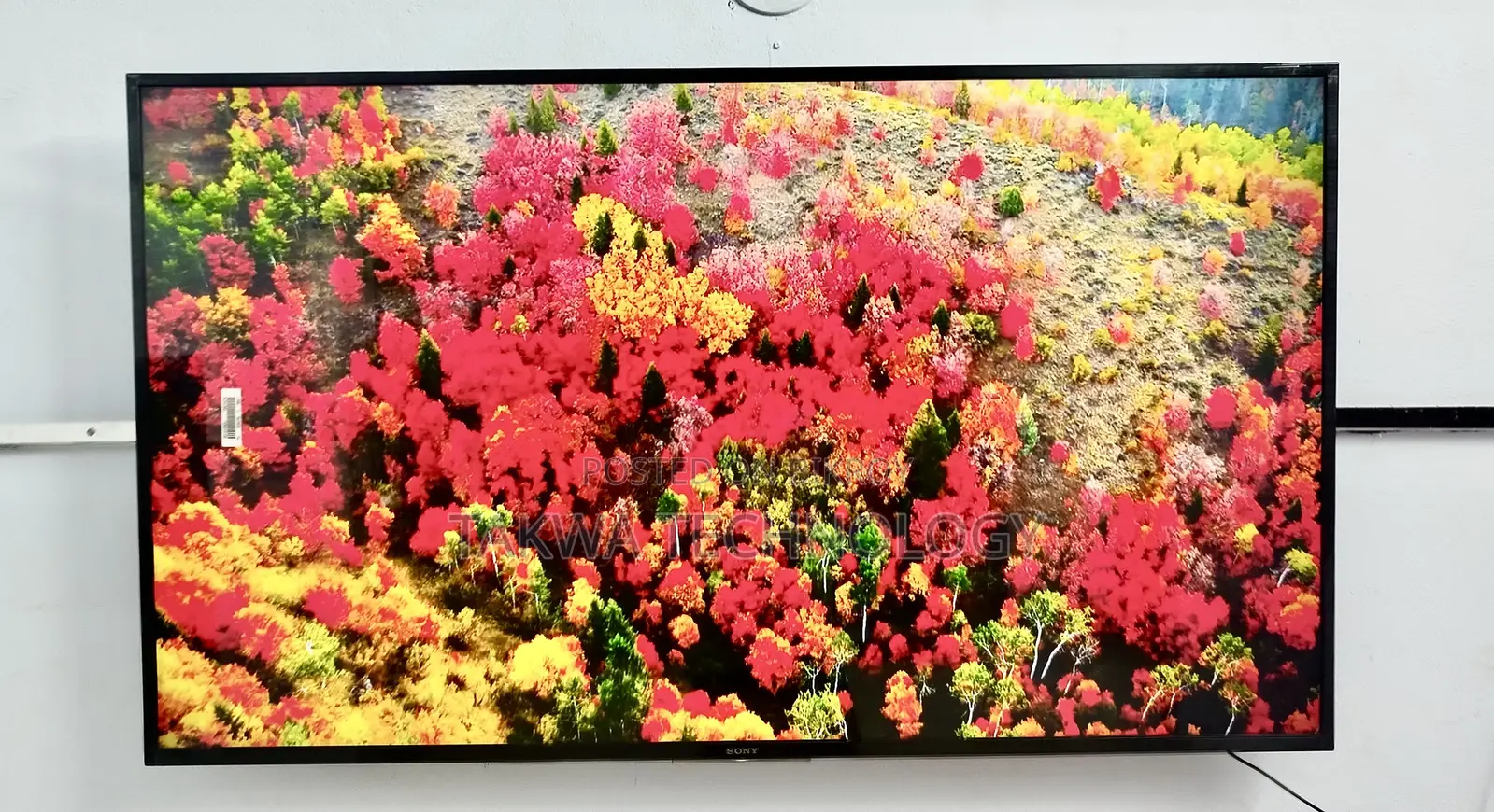 Sony Bravia 55 Inch Android Voice Control TV
