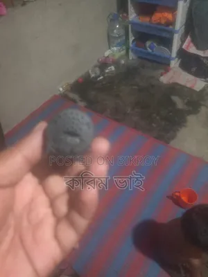 চোর ধরার জন্য কিনেছিলাম কাজ শেষ এখন আর লাগছে না