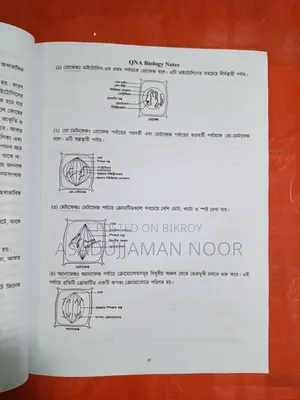 HSC QNA Biology Notes in 282 Page New Condition 2025 June Edition
