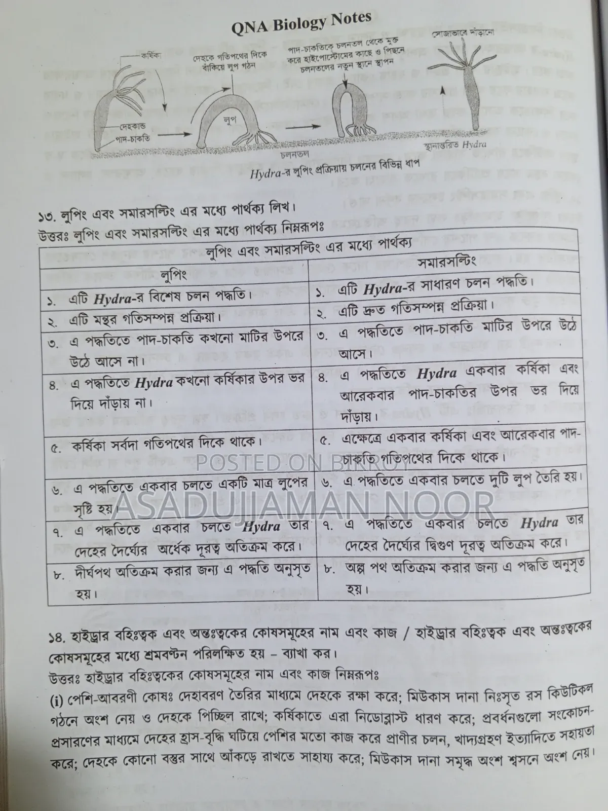HSC QNA Biology Notes in 282 Page New Condition 2025 June Edition