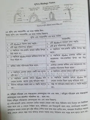 HSC QNA Biology Notes in 282 Page New Condition 2025 June Edition
