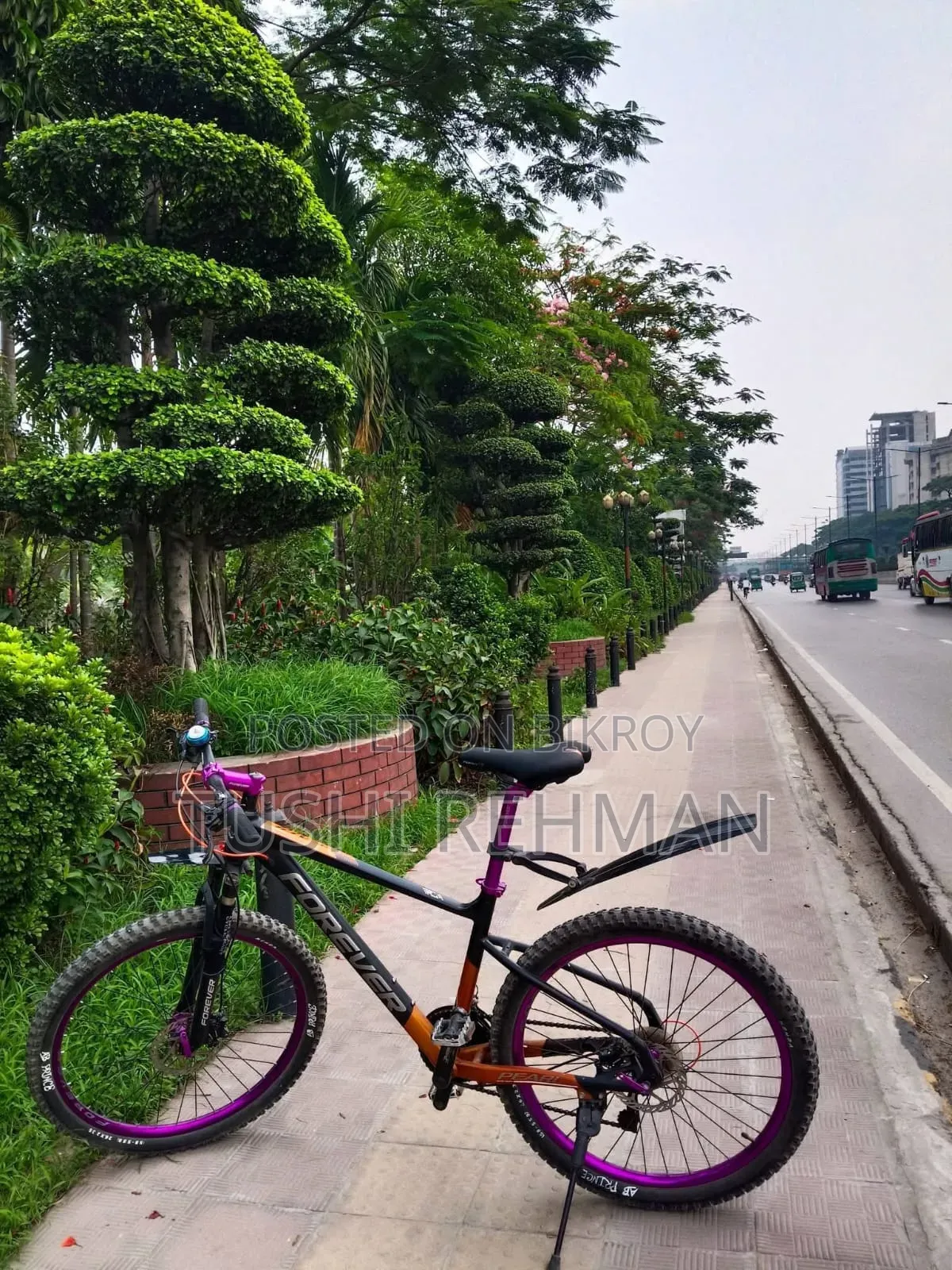 Foxter Pearl Series V-Brake Modified Bicycle