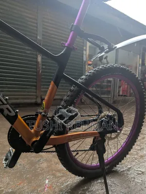 Foxter Pearl Series V-Brake Modified Bicycle