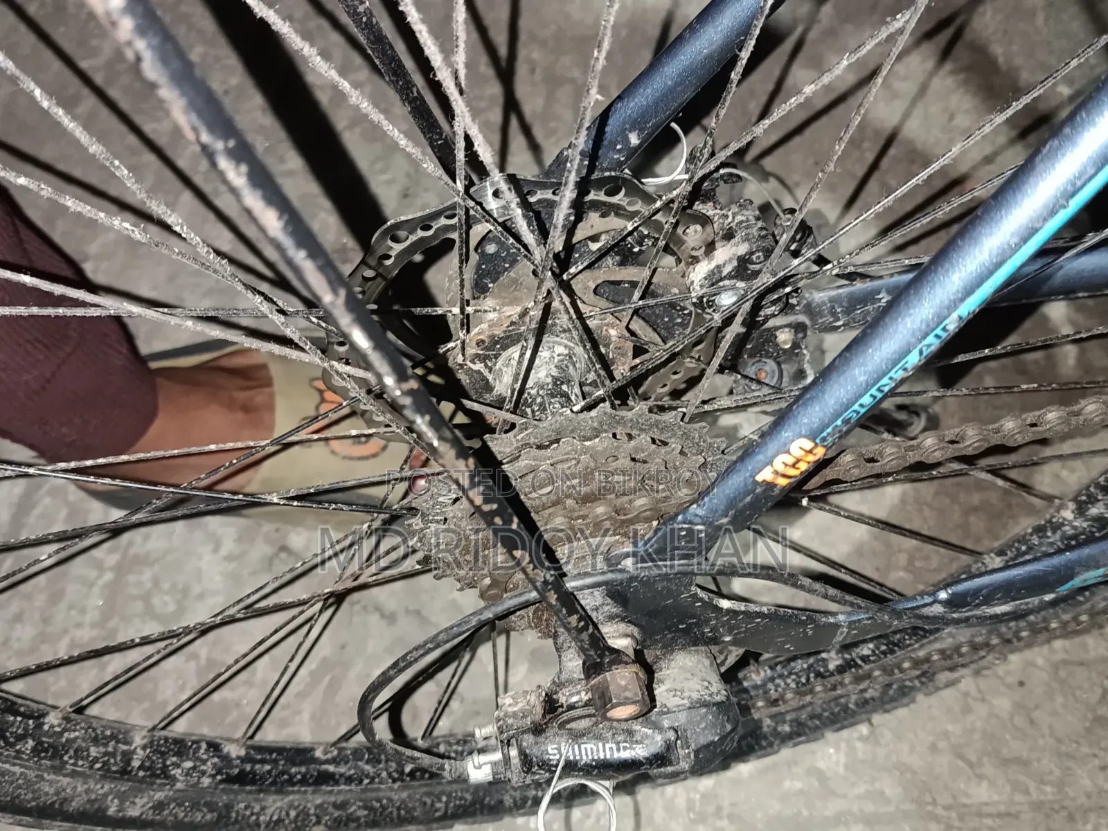 সাইকেল ফুল ফ্রেশ